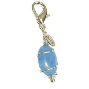 Aquamarine Healing Dog Collar Charm Pawmulet