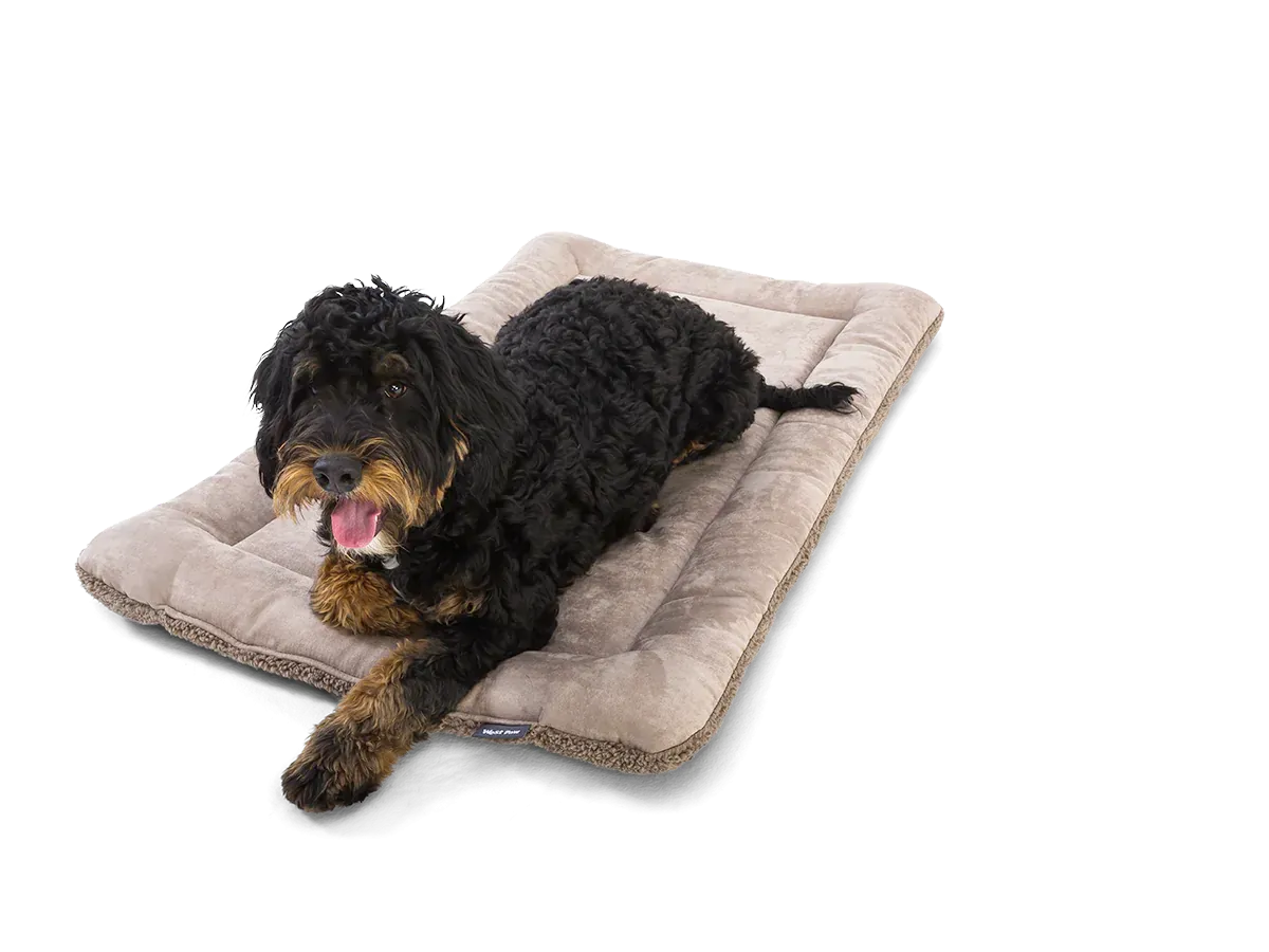 Big Sky Nap Dog Mat, Midnight