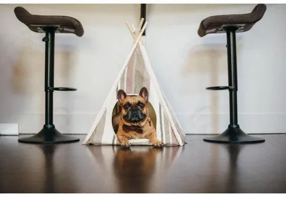 Horizon Pet Teepee