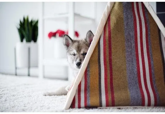 Horizon Pet Teepee