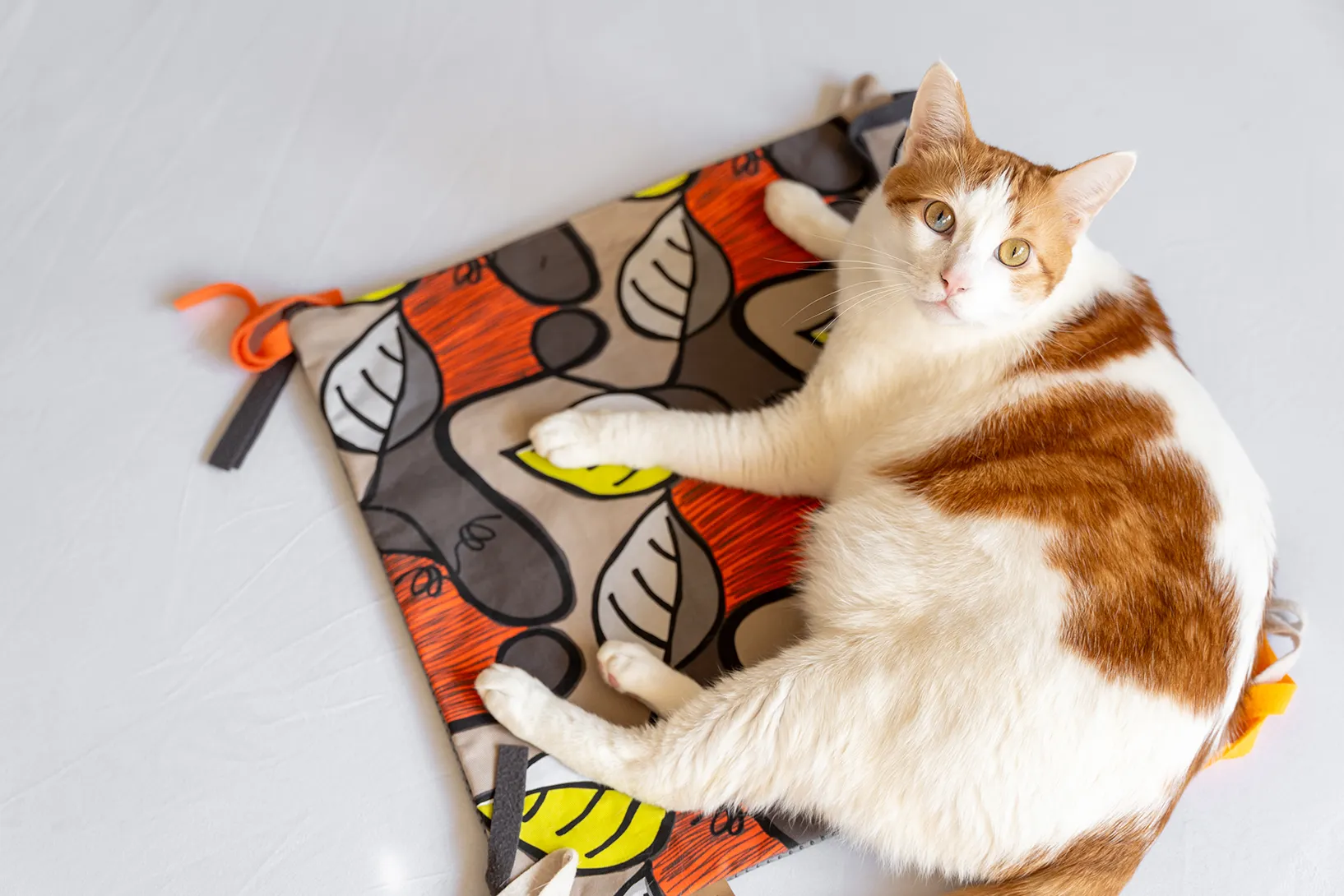 P.L.A.Y. Purrfect Playtime Cat Mat