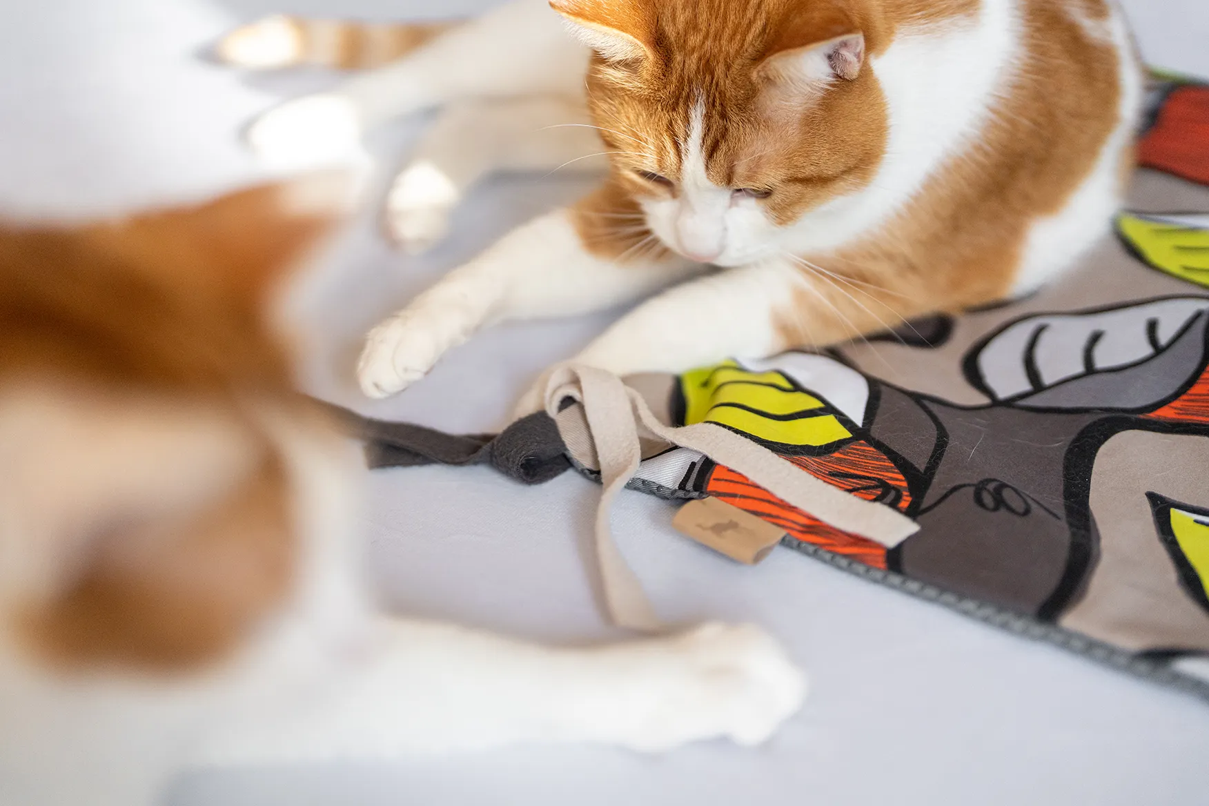 P.L.A.Y. Purrfect Playtime Cat Mat